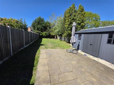 Picture 21
